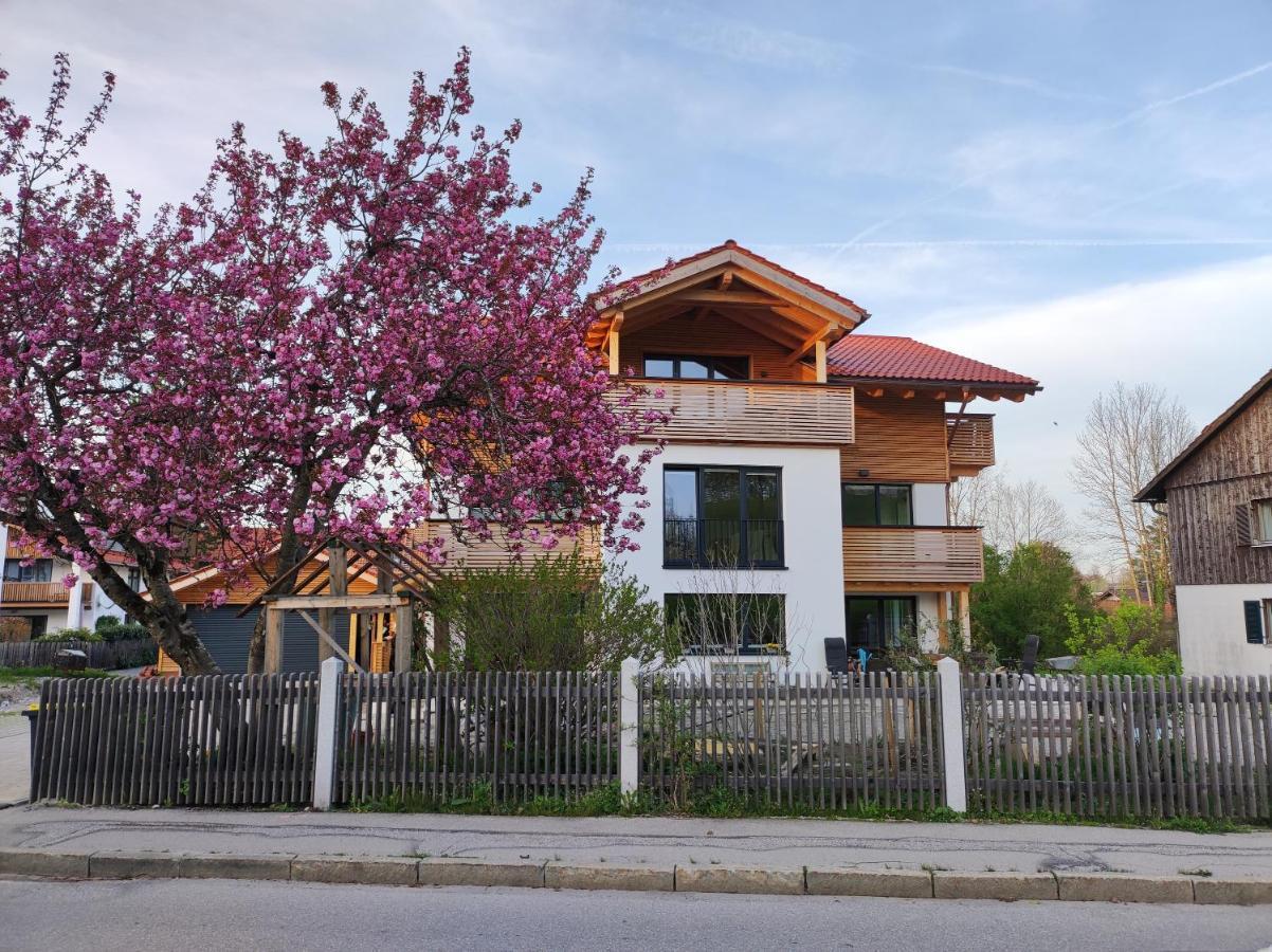 Ferienwohnung Schwaiger Almblick 巴特特尔茨 外观 照片